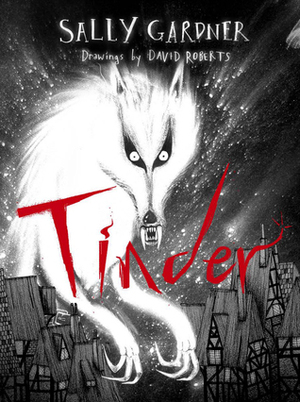 Tinder by Sally Gardner