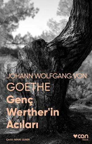 Genç Werther'in Acıları by Johann Wolfgang von Goethe