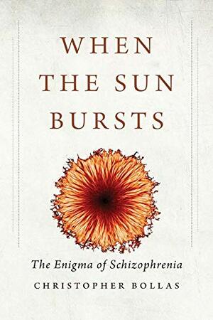 When the Sun Bursts: The Enigma of Schizophrenia by Christopher Bollas