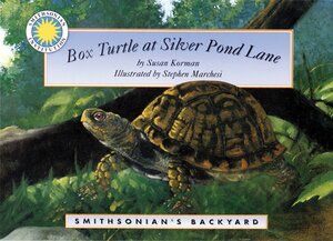 Box Turtle At Silver Pond Lane by Susan Korman