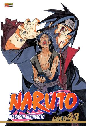 Naruto, Vol. 43: Aquele que conhece a verdade by Masashi Kishimoto