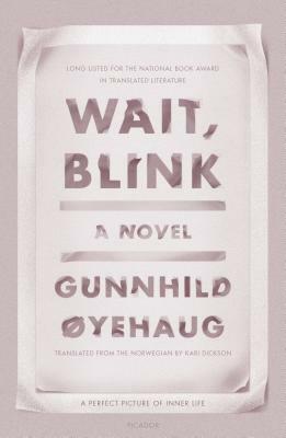 Wait, Blink: A Perfect Picture of Inner Life: A Novel by Gunnhild Øyehaug