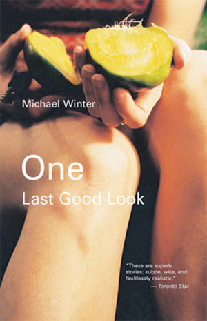 One Last Good Look by Michael Winter