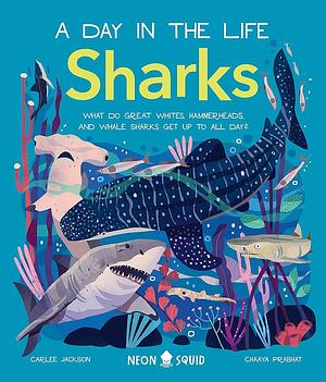 A Day in the Life of Sharks by Carlee Jackson