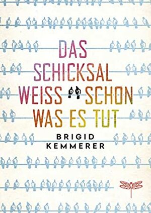 Das Schicksal weiß schon, was es tut by Brigid Kemmerer