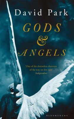 Gods & Angels by David Park