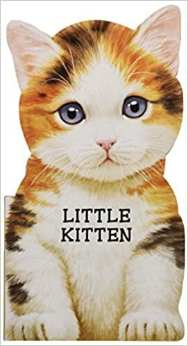 Little Kitten by Giovanni Caviezel