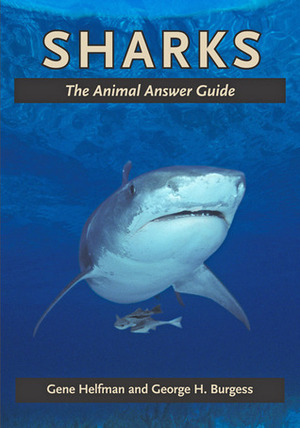 Sharks: The Animal Answer Guide by Gene Helfman