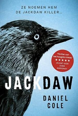 Jackdaw by Daniel Cole