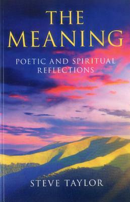 The Meaning: Poetic and Spiritual Reflections by Steve Taylor