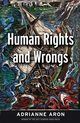 Human Rights and Wrongs: Reluctant Heroes Fight Tyranny by Adrianne Aron