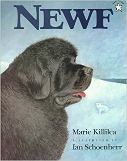 Newf by Marie Killilea