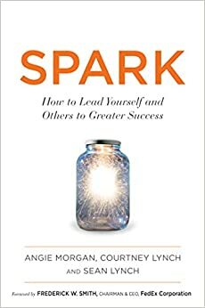 Spark: How to Lead Yourself and Others to Greater Success by Angie Morgan