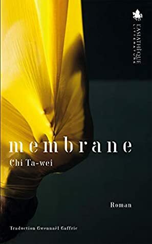 Membrane by Chi Ta-wei, Gwennaël Gaffric