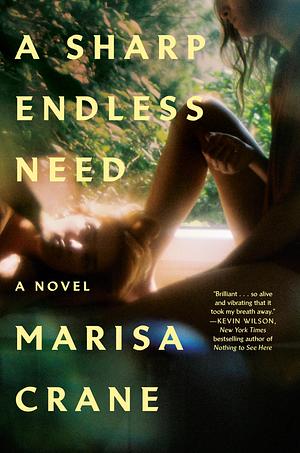 A Sharp Endless Need by Marisa Crane