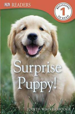 DK Readers L1: Surprise Puppy by Judith Walker-Hodge