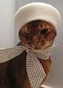 bookishsabs's profile picture
