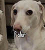 d_a_2412's profile picture