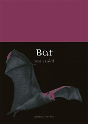 Bat by Tessa Laird