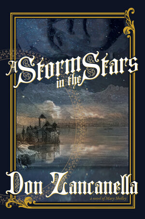 A Storm in the Stars by Don Zancanella