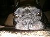 darkling_glory's profile picture