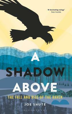 A Shadow Above: The Fall and Rise of the Raven by Joe Shute