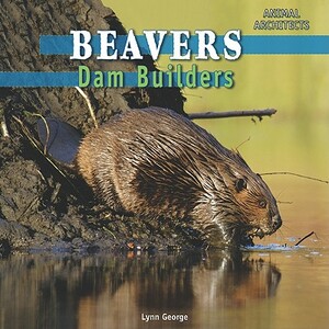 Beavers: Dam Builders by Lynn George