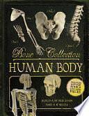 Bone Collection: Human Body by Rob Colson