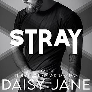 Stray by Daisy Jane