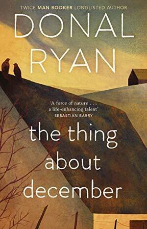 The Thing about December by Donal Ryan