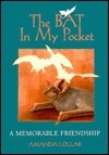 Bat in My Pocket: A Memorable Friendshop by Amanda Lollar