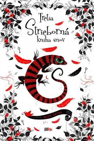 Strieborná, Volume 3 by Kerstin Gier