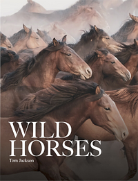 Wild Horses by Tom Jackson (author)
