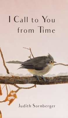 I Call to You from Time by Judith Sornberger