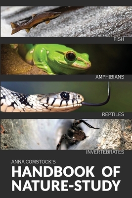 The Handbook Of Nature Study in Color - Fish, Reptiles, Amphibians, Invertebrates by Anna Comstock