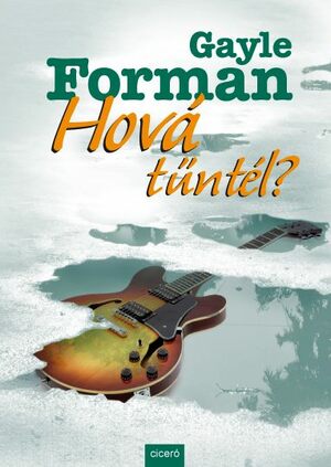 Hová tűntél? by Gayle Forman