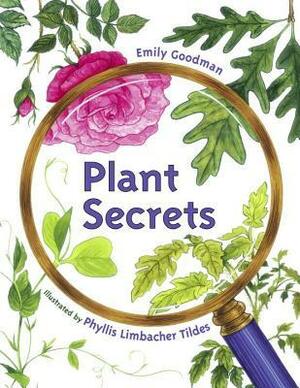 Plant Secrets by Emily Goodman, Phyllis Limbacher Tildes