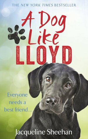 A Dog Like Lloyd by Jacqueline Sheehan