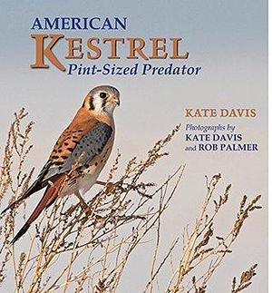 American Kestrel: Pint-Sized Predator by Diana Palmer, Kate Davis, Kate Davis