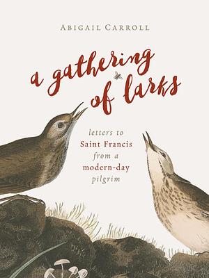 Gathering of Larks: Letters to Saint Francis from a Modern-Day Pilgrim by Abigail Carroll, Abigail Carroll