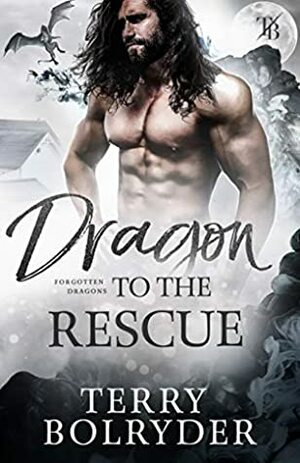 Dragon to the Rescue by Terry Bolryder