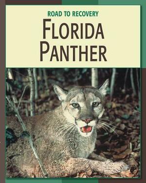 Florida Panther by Barbara A. Somervill