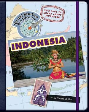 It's Cool to Learn about Countries: Indonesia by Tamra Orr