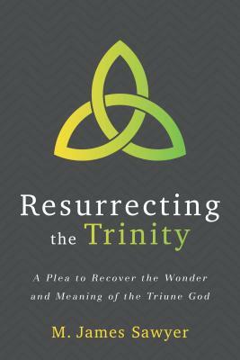 Resurrecting the Trinity: A Plea to Recover the Wonder and Meaning of the Triune God by M. James Sawyer
