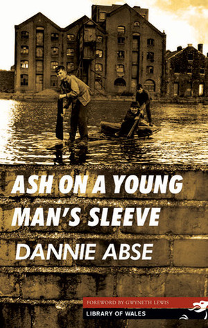 Ash on a Young Man's Sleeve by Dannie Abse, Gwyneth Lewis