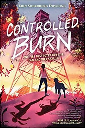 Controlled Burn by Erin Soderberg Downing