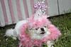 kaylagibson's profile picture