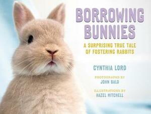 Borrowing Bunnies: A Surprising True Tale of Fostering Rabbits by Cynthia Lord, John Bald, Hazel Mitchell