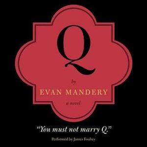 Q: A Novel by James Fouhey, Evan Mandery
