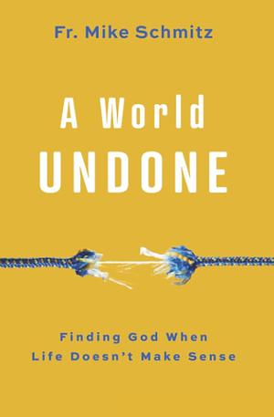 A World Undone: Finding God When Life Doesn't Make Sense by Mike Schmitz